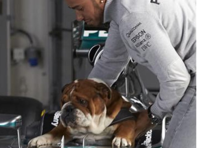 Roscoe, Lewis Hamilton