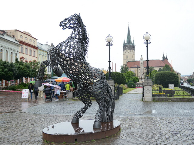 Prešov, kôň, konare