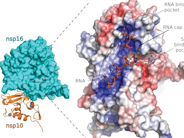 Figure4_Dusan2