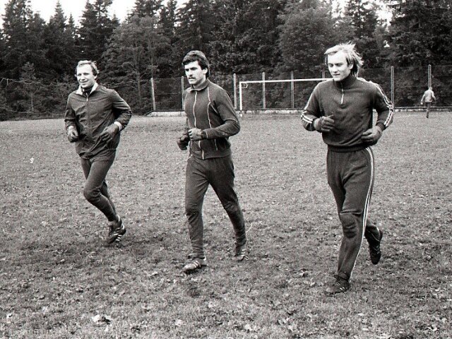 Jaroslav Netolička, Stanislav Seman, Karel Stromšík