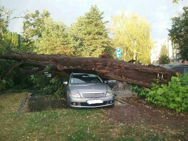 smršť vietor strom auto búrka