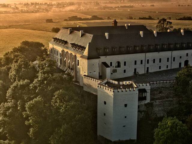 The Grand Viglas
