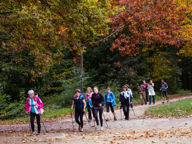 príroda, túra, turistika, nordic walking