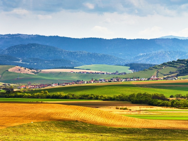 žatva, polia, pozemková reforma