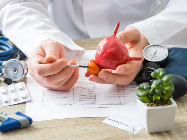 urológ, prostata, doktor, ukazovanie