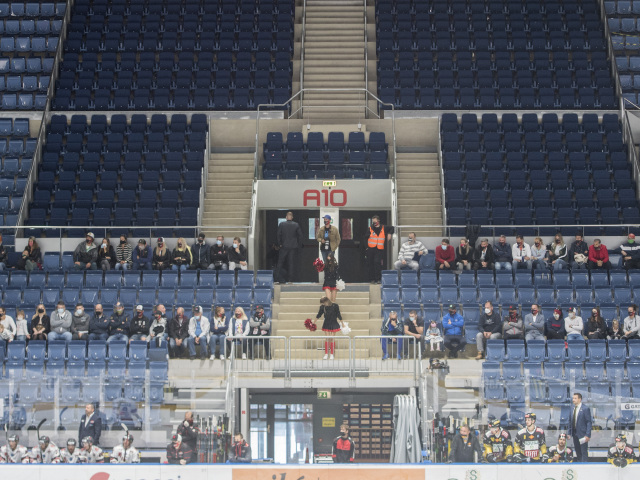 Bratislava Capitals, diváci