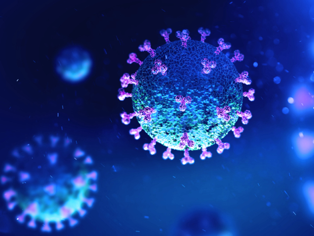 koronavirus
