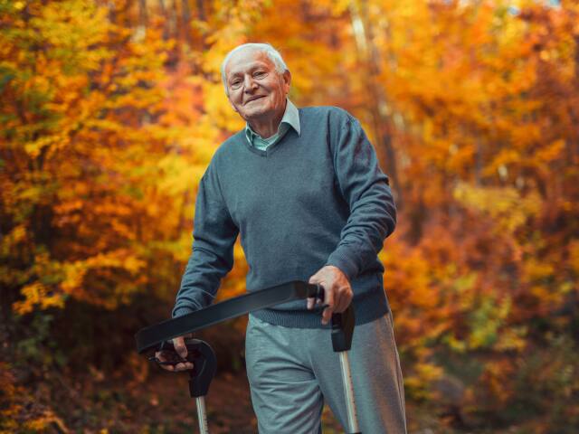 jeseň, dedko, prechádzka, senior, penzista