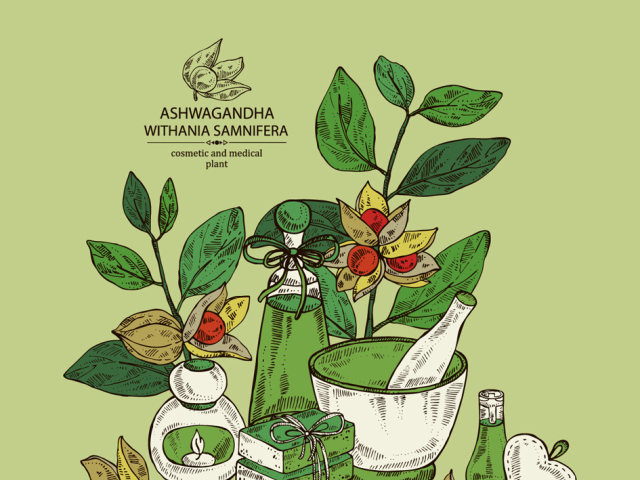 ašvaganda, ashwagandha, nápis, ajurvéda