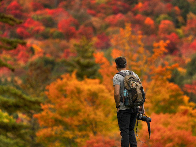 Adirondack, jeseň, les, príroda, turista, fotograf, fotoaparát, fotenie, výhľad, cestovanie, ruksak,