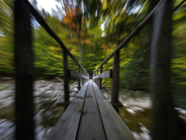 Adirondack, most, mostík, chodník, cestička, cesta, les, jeseň, príroda, turistika, stromy,
