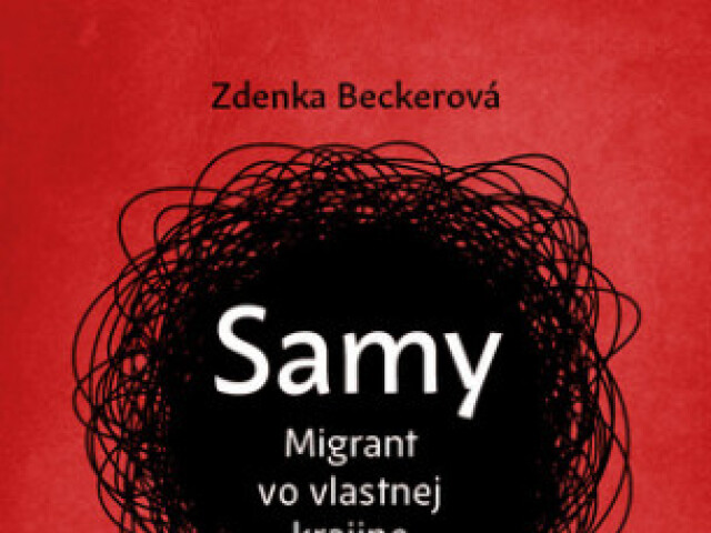 samy-migrant-vo-vlastnej-krajine