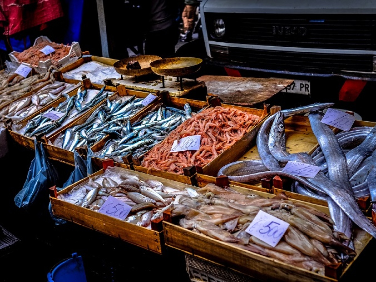 francesco-ungaro-nia Fba12z ZI-unsplash, pr clanok, reklama, nepouzivat