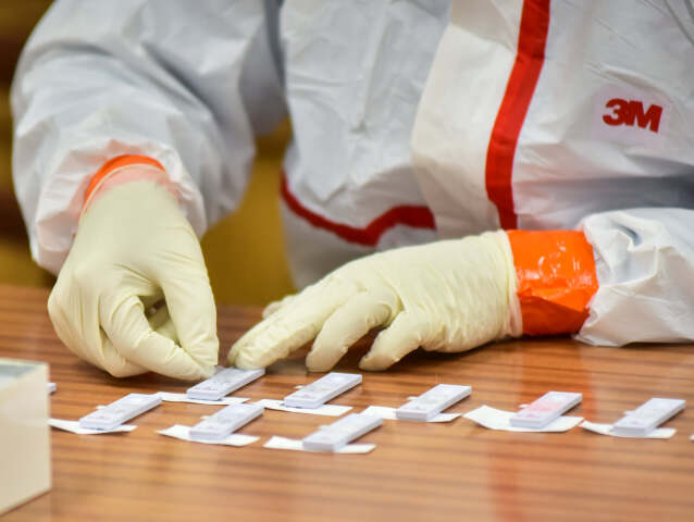 Plošné testovanie / testovanie /