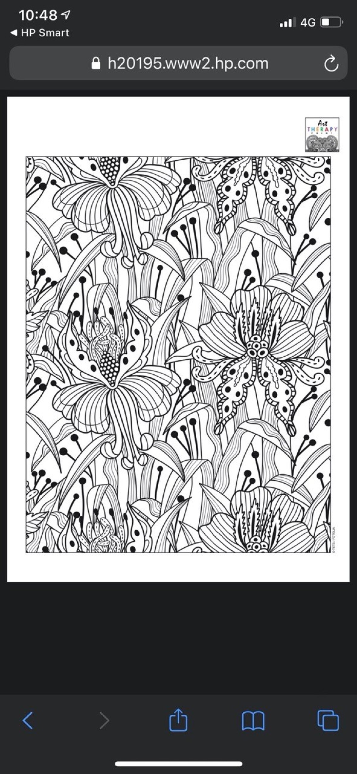 thumbnail IMG 0665