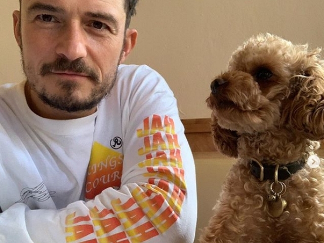Herec Orlando Bloom a jeho pes Mighty, ktorý zmizol v júli tohto roka. 
