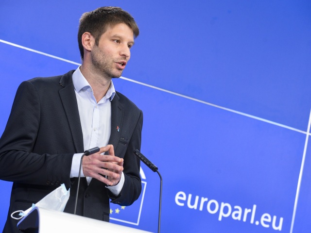EP-106035A_PC_Renew Europe