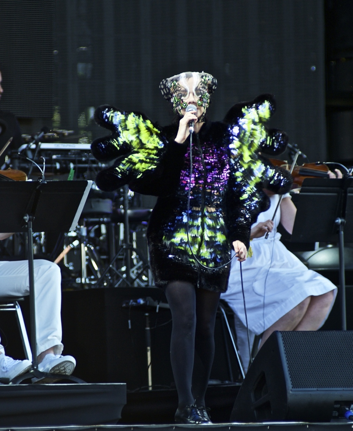 Speváčka Bjork na zábere z vystúpenia na The Governors Ball Music Festival v New Yorku v roku 2015.