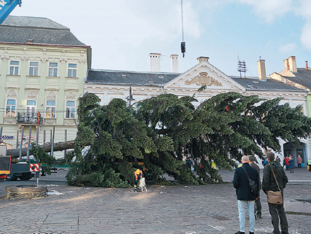 Košice, vianočný strom