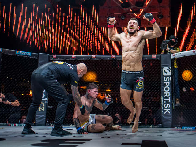 Wittner mma