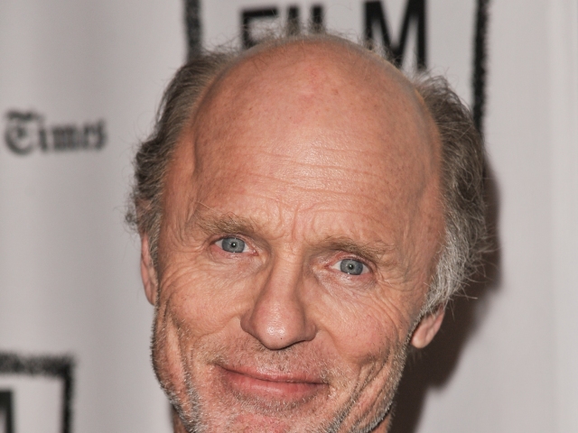 Herec Ed Harris na premiére filmu The Face of Love v roku 2014.