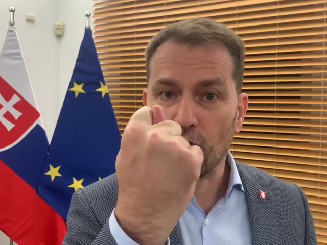 Figa borová Igora Matoviča