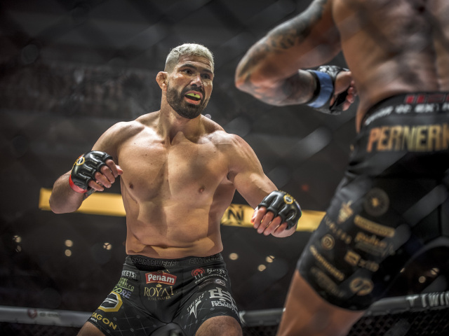 végh mma