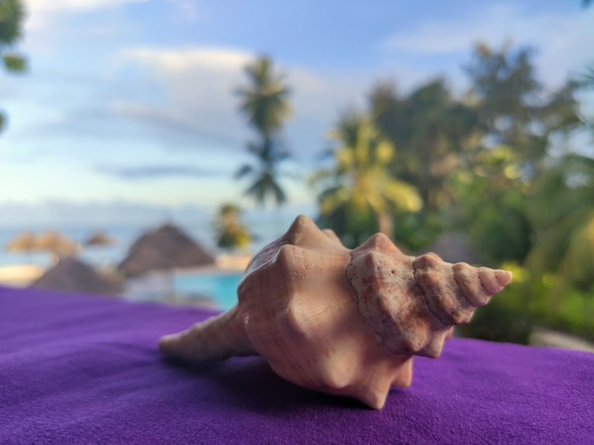 Zanzibar
