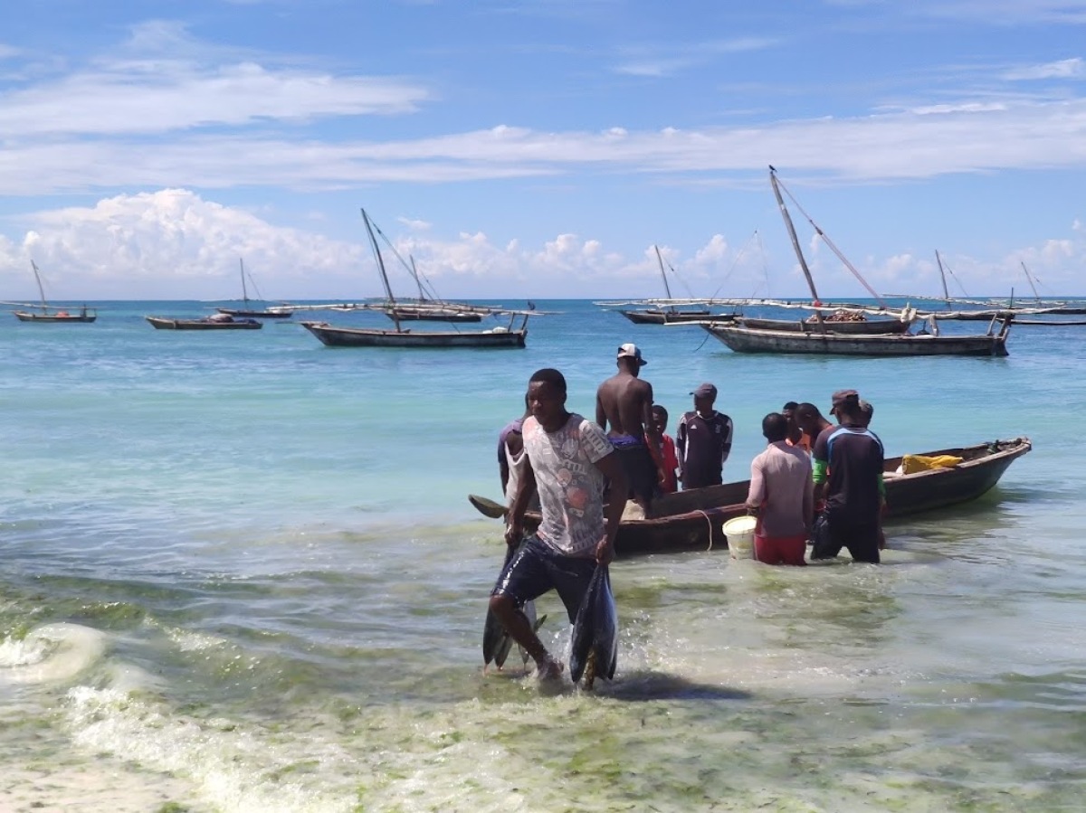 Zanzibar