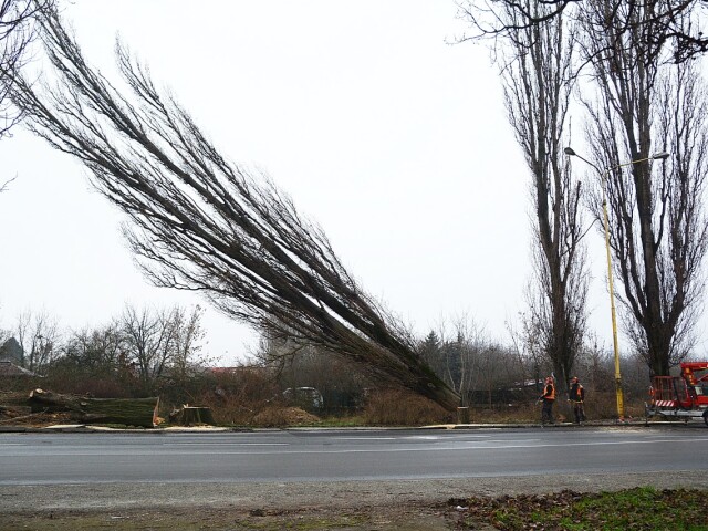 Slanecká cesta, Košice