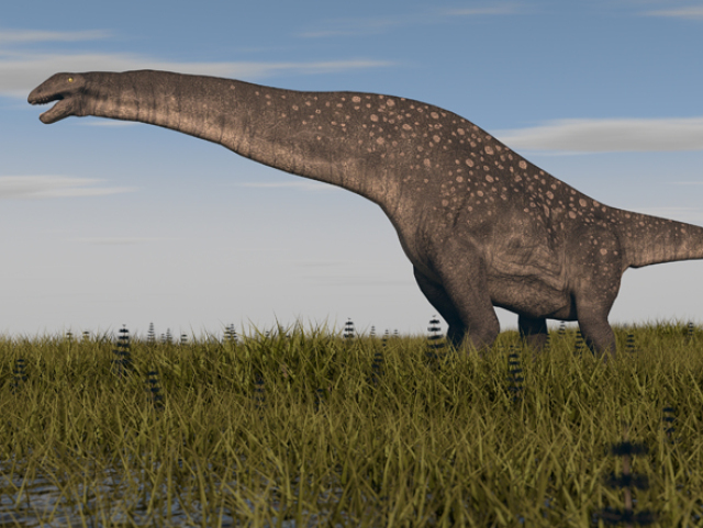 dino