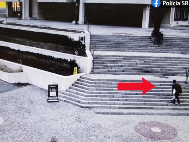 muž so sekerou v parlamente, NR SR