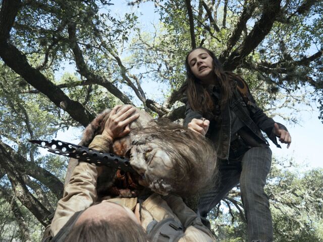 fear the walking dead,