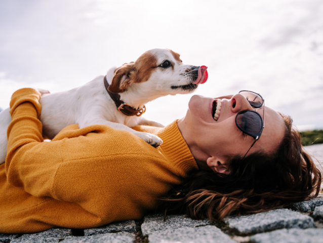 A beautiful woman laughing while her pet is licking her face in a sunny day in the park in Madrid. The dog is on its owner between her hands. Family dog outdoor lifestyle