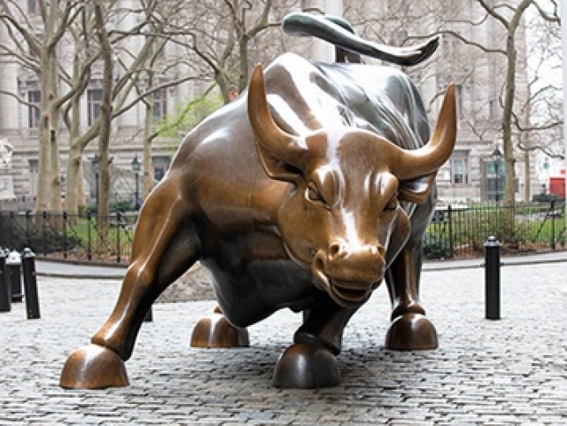 Charging Bull