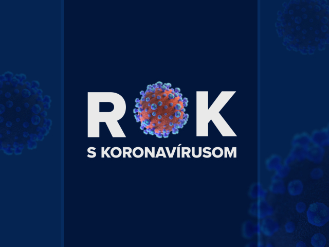 rok s koronavírusom,