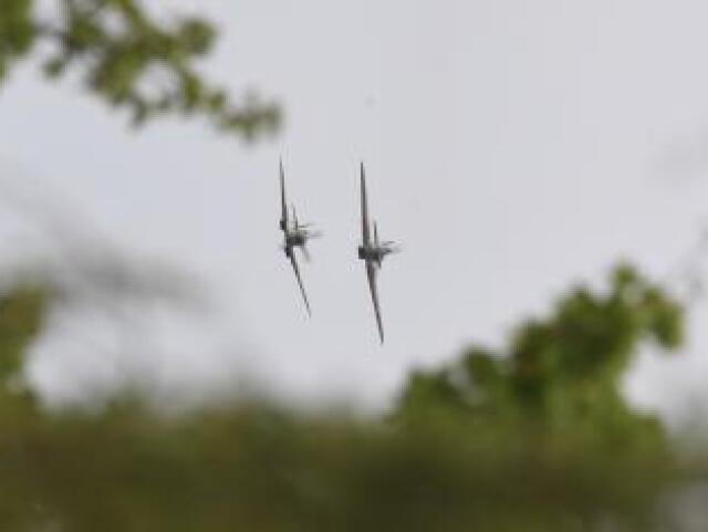 spitfire