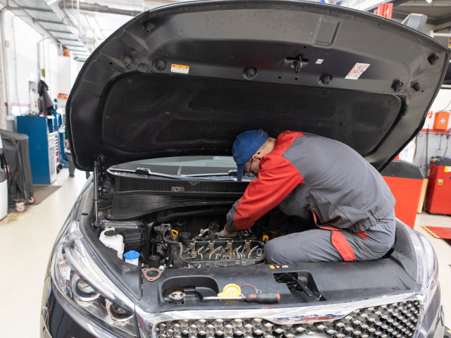 Kia e-Niro - servis