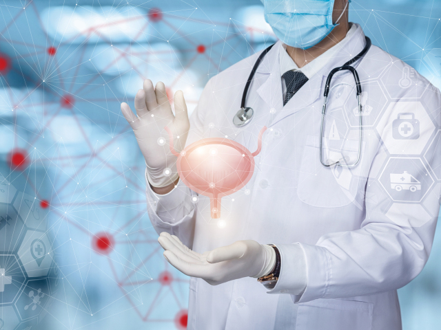 močový mechúr, doktor, urológ