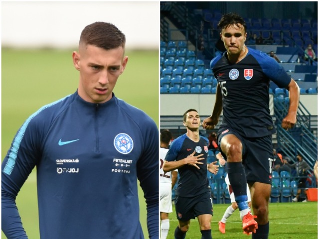 Dávid Strelec, Róbert Boženík