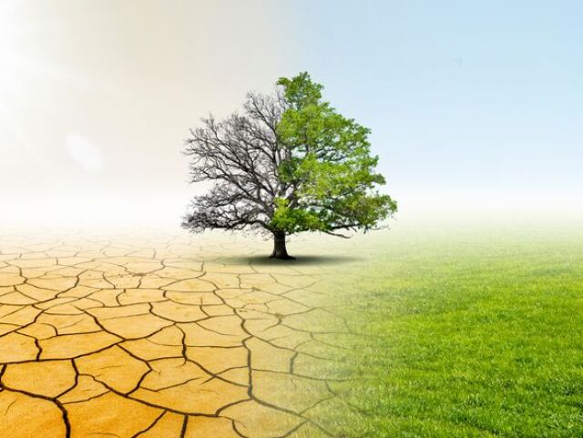 Drought and Green Nature  Landscape