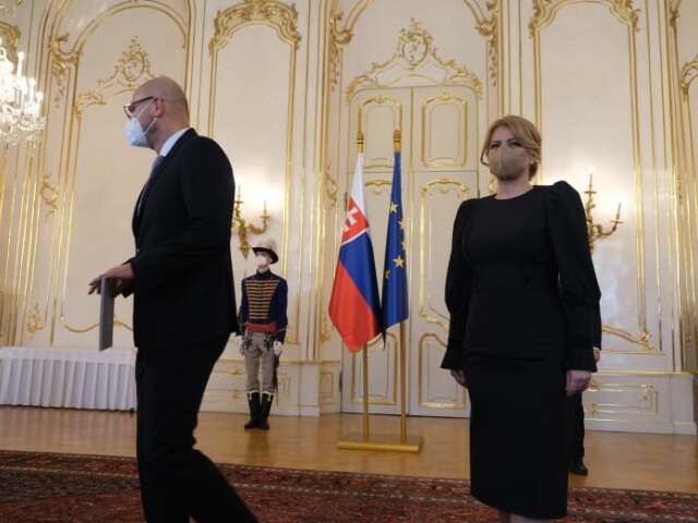 sulík, čaputová