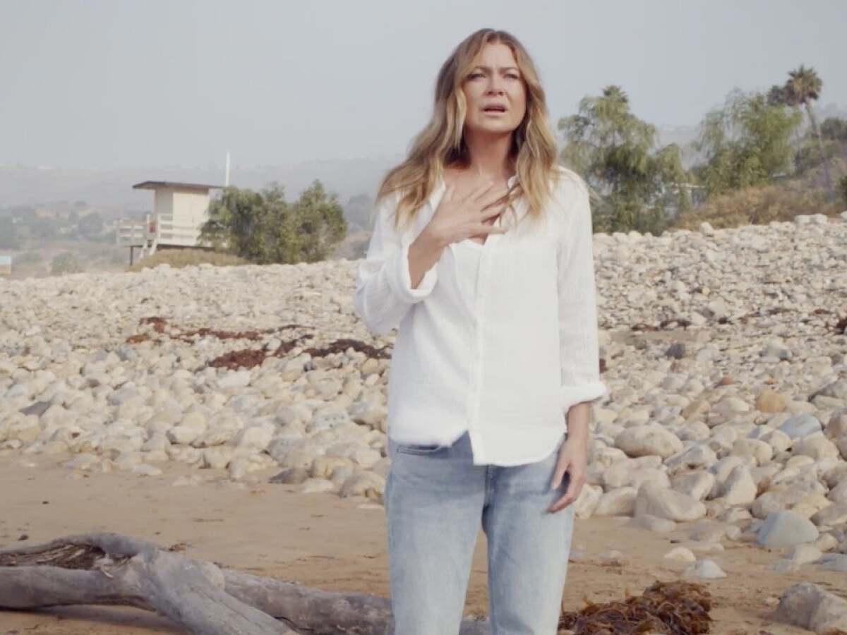 ellen pompeo, greys anatomy,