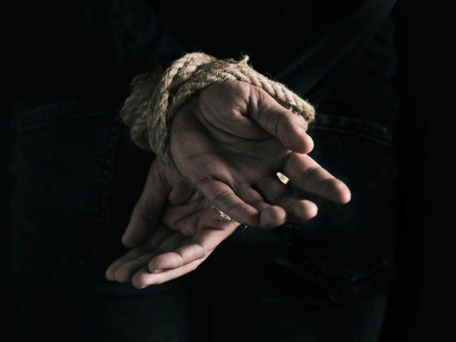 shutterstock 1339441814