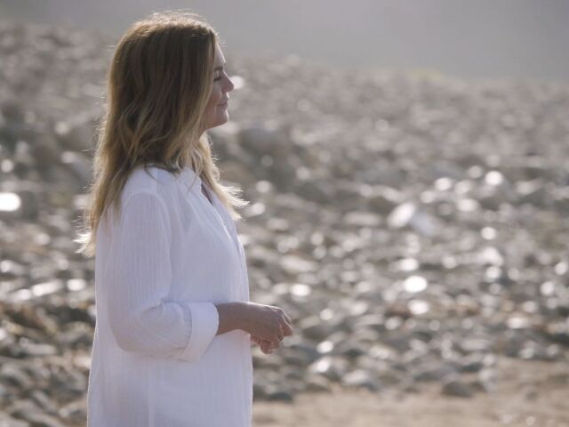 greys anatomy, ellen pompeo,