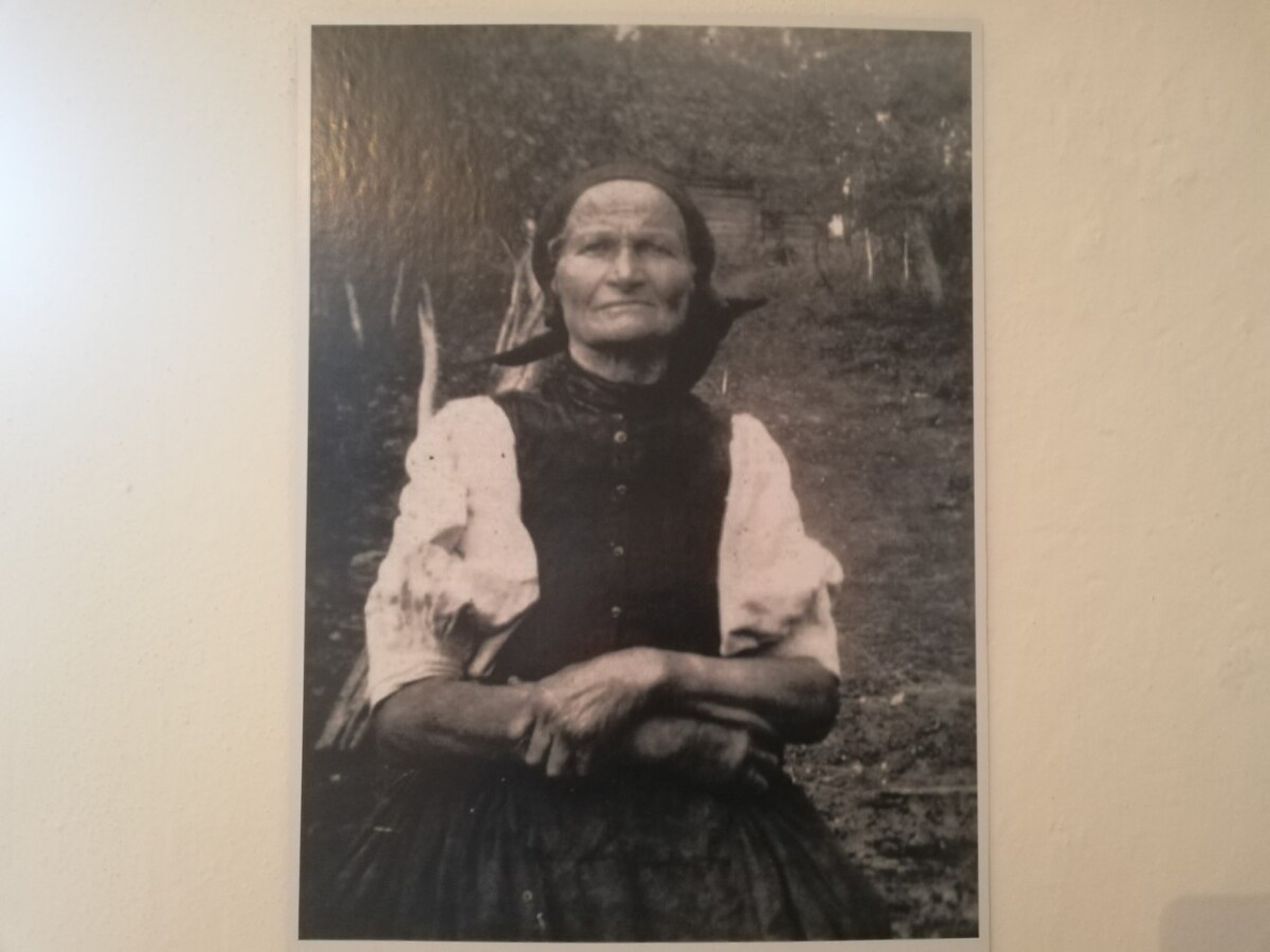 Timrava, 6