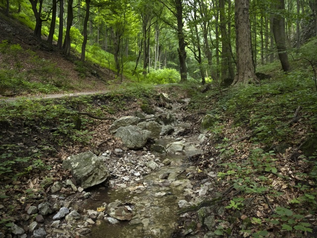 Plavecký kras / Mokrá dolina /