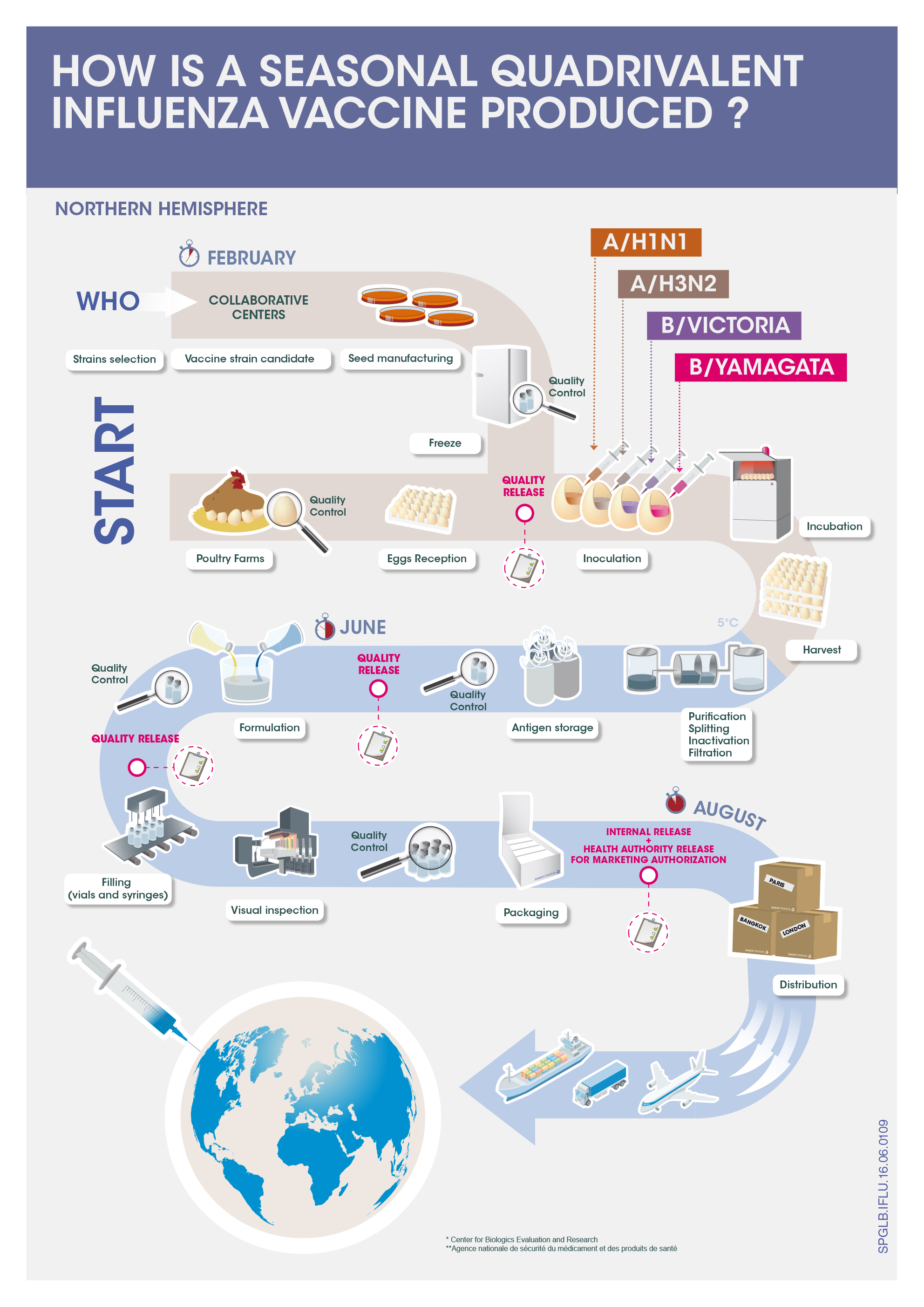 2107-Complet_Infographies_FLU_Quadrivalent_EN_V8