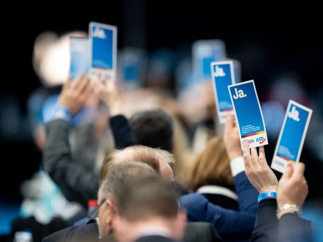 AfD / Alternatíva pre Nemecko /