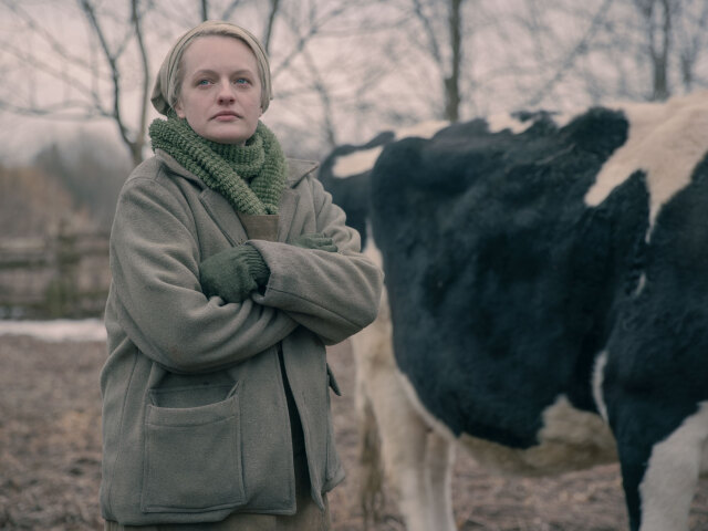 príbeh služobníčky, elizabeth moss,